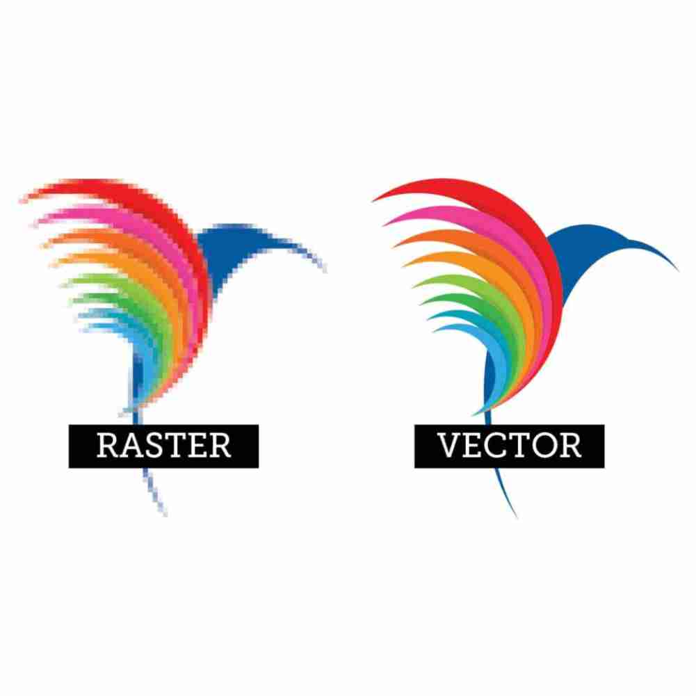 Vector